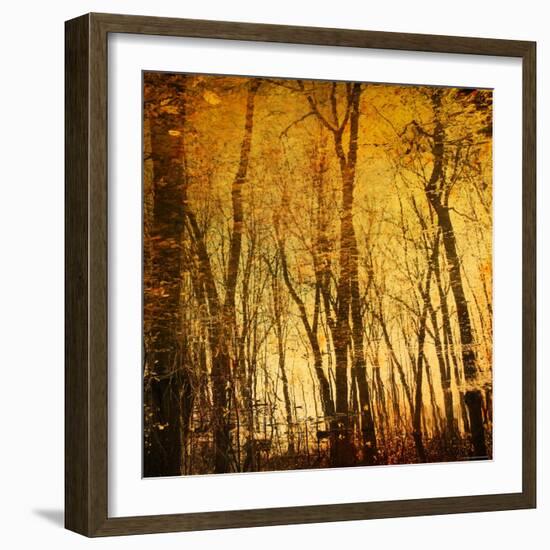 Tree Reflections-Irene Suchocki-Framed Photographic Print