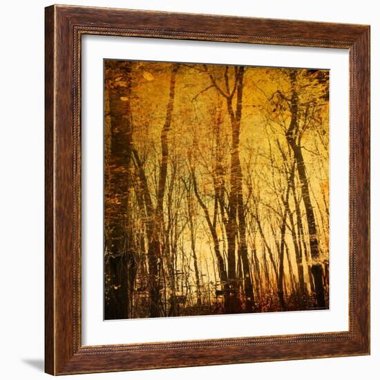 Tree Reflections-Irene Suchocki-Framed Photographic Print