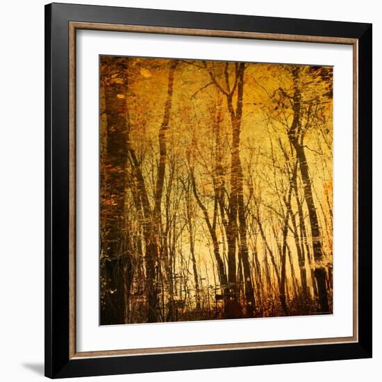 Tree Reflections-Irene Suchocki-Framed Photographic Print