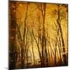 Tree Reflections-Irene Suchocki-Mounted Photographic Print