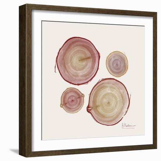 Tree Ring 11-Albert Koetsier-Framed Art Print