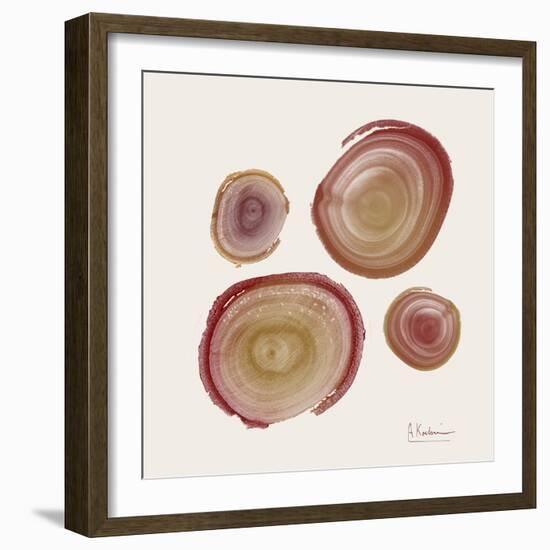 Tree Ring 12-Albert Koetsier-Framed Art Print