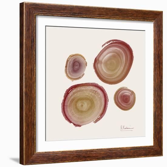 Tree Ring 12-Albert Koetsier-Framed Art Print