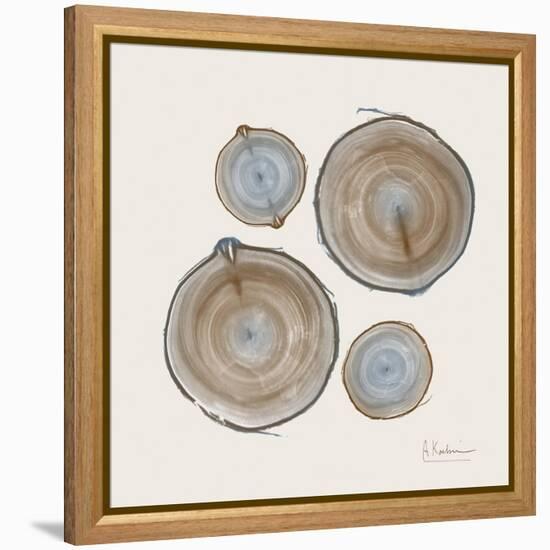 Tree Ring 18-Albert Koetsier-Framed Stretched Canvas