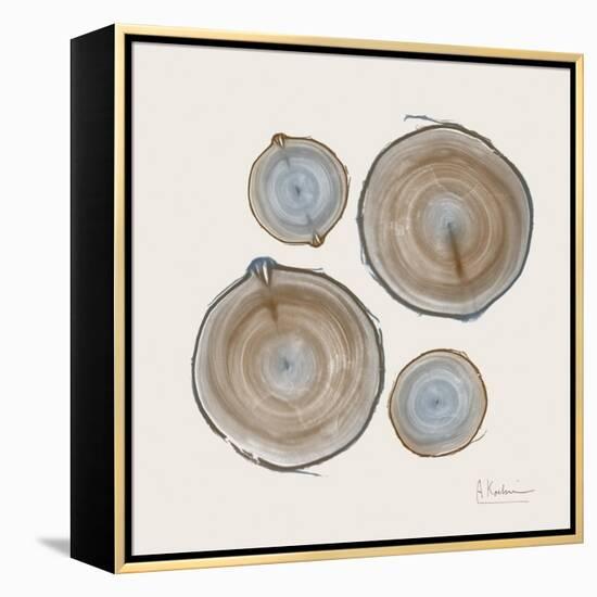 Tree Ring 18-Albert Koetsier-Framed Stretched Canvas