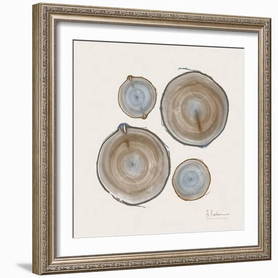 Tree Ring 18-Albert Koetsier-Framed Art Print