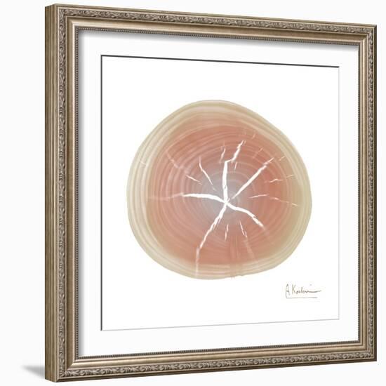 Tree Ring 5-Albert Koetsier-Framed Art Print