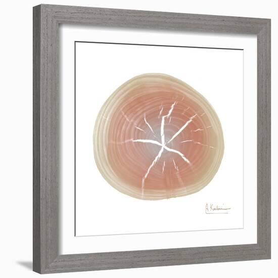 Tree Ring 5-Albert Koetsier-Framed Art Print