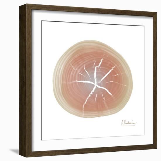 Tree Ring 5-Albert Koetsier-Framed Art Print