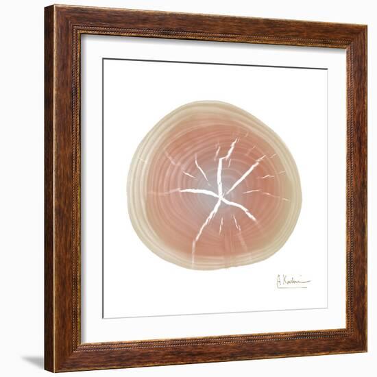 Tree Ring 5-Albert Koetsier-Framed Art Print