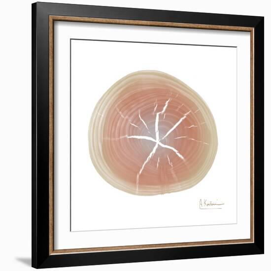 Tree Ring 5-Albert Koetsier-Framed Art Print