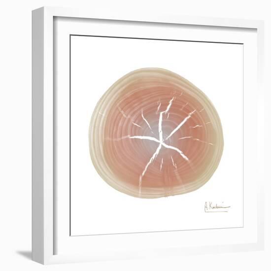 Tree Ring 5-Albert Koetsier-Framed Art Print