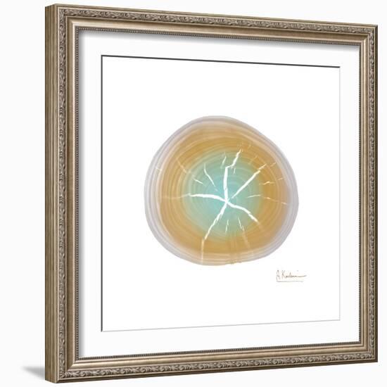 Tree Ring 7-Albert Koetsier-Framed Premium Giclee Print