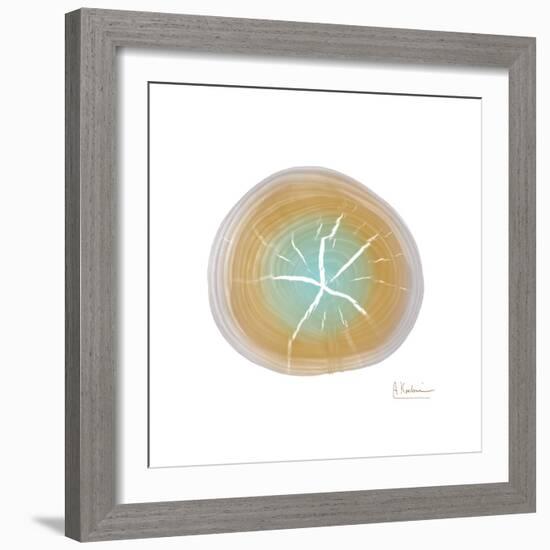 Tree Ring 7-Albert Koetsier-Framed Premium Giclee Print