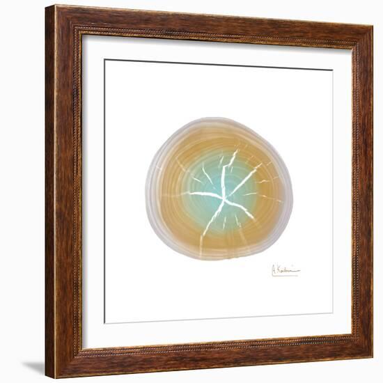 Tree Ring 7-Albert Koetsier-Framed Premium Giclee Print