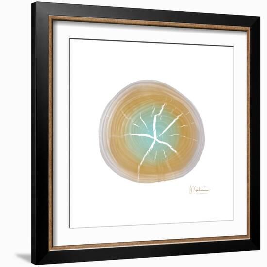 Tree Ring 7-Albert Koetsier-Framed Premium Giclee Print