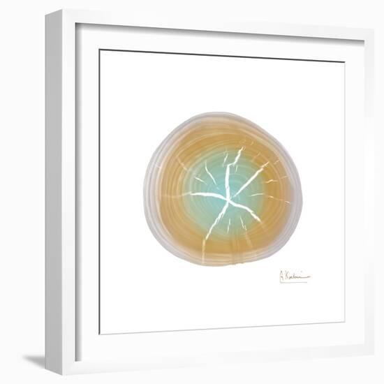 Tree Ring 7-Albert Koetsier-Framed Premium Giclee Print