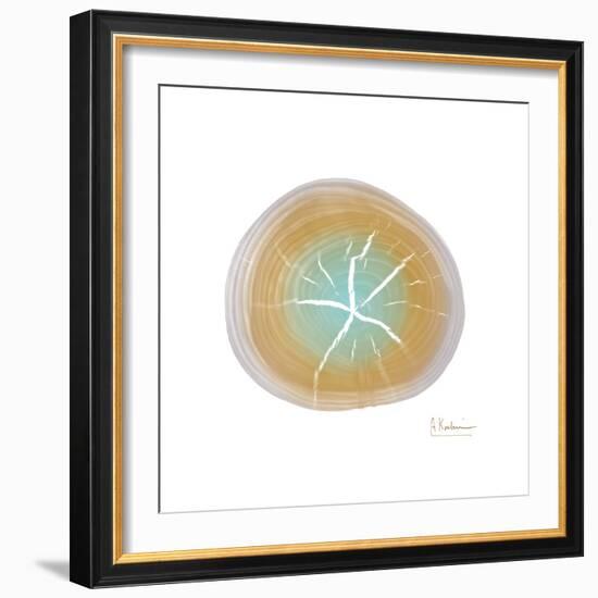 Tree Ring 7-Albert Koetsier-Framed Premium Giclee Print