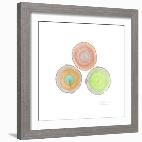 Tree Ring 9-Albert Koetsier-Framed Premium Giclee Print