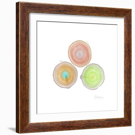 Tree Ring 9-Albert Koetsier-Framed Premium Giclee Print