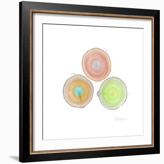 Tree Ring 9-Albert Koetsier-Framed Premium Giclee Print