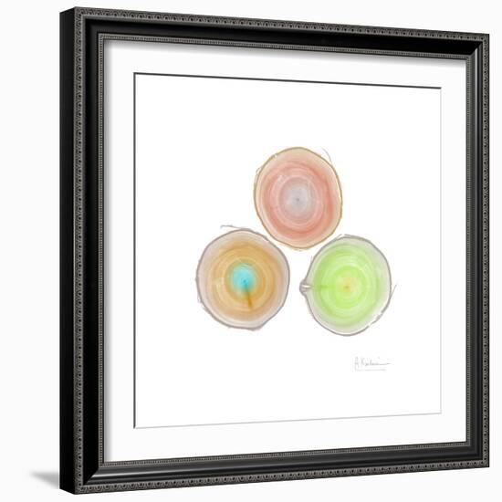 Tree Ring 9-Albert Koetsier-Framed Premium Giclee Print