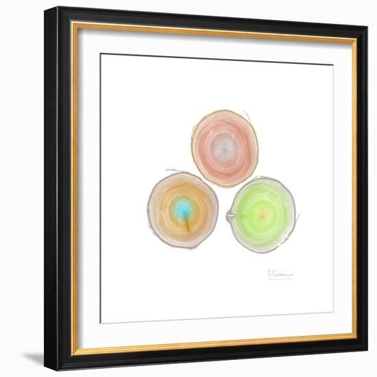 Tree Ring 9-Albert Koetsier-Framed Premium Giclee Print