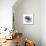 Tree Ring Abstract I-Ethan Harper-Mounted Art Print displayed on a wall