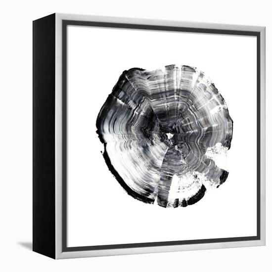 Tree Ring Abstract I-Ethan Harper-Framed Stretched Canvas