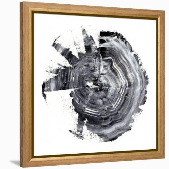 Tree Ring Abstract II-Ethan Harper-Framed Stretched Canvas