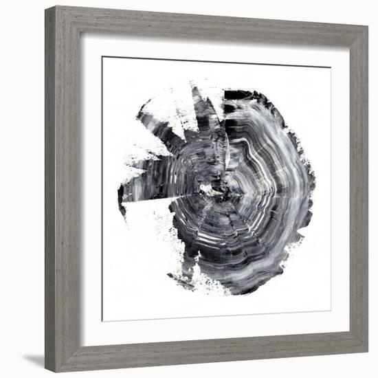 Tree Ring Abstract II-Ethan Harper-Framed Art Print