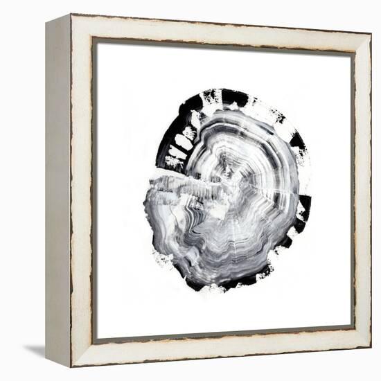 Tree Ring Abstract III-Ethan Harper-Framed Stretched Canvas