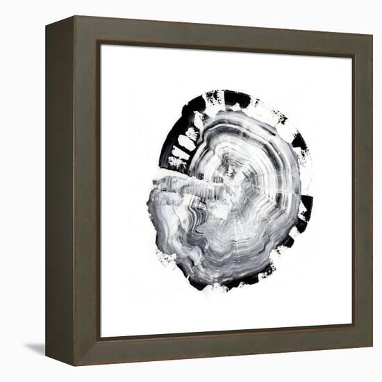 Tree Ring Abstract III-Ethan Harper-Framed Stretched Canvas