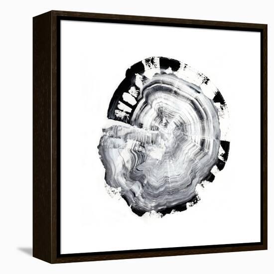 Tree Ring Abstract III-Ethan Harper-Framed Stretched Canvas