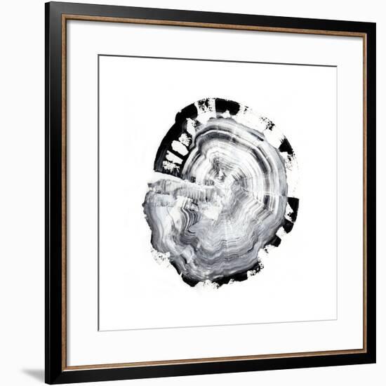 Tree Ring Abstract III-Ethan Harper-Framed Premium Giclee Print