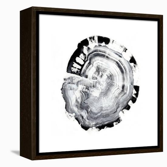 Tree Ring Abstract III-Ethan Harper-Framed Stretched Canvas