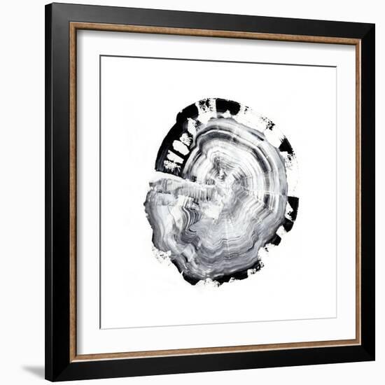 Tree Ring Abstract III-Ethan Harper-Framed Art Print