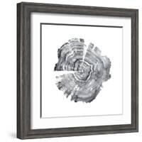 Tree Ring Abstract IV-Ethan Harper-Framed Art Print