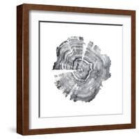 Tree Ring Abstract IV-Ethan Harper-Framed Art Print