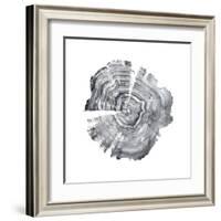 Tree Ring Abstract IV-Ethan Harper-Framed Art Print
