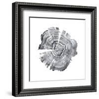 Tree Ring Abstract IV-Ethan Harper-Framed Art Print
