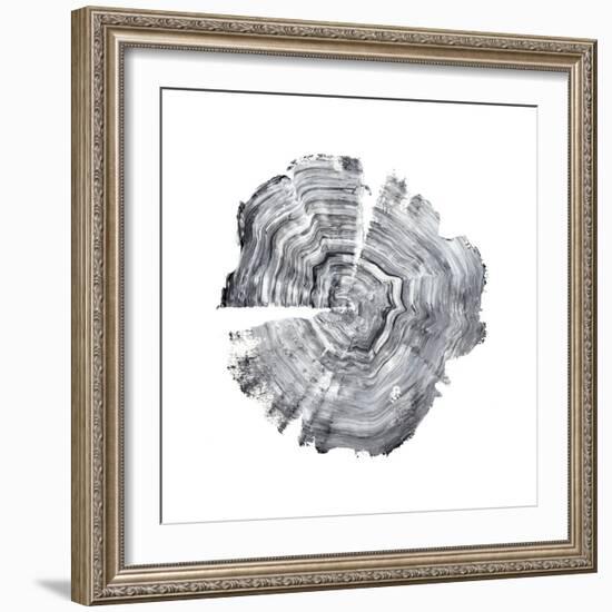 Tree Ring Abstract IV-Ethan Harper-Framed Premium Giclee Print