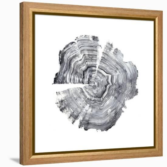 Tree Ring Abstract IV-Ethan Harper-Framed Stretched Canvas