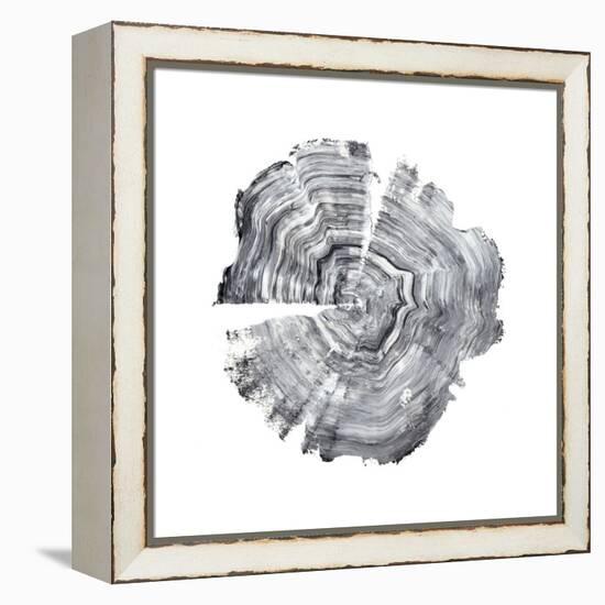 Tree Ring Abstract IV-Ethan Harper-Framed Stretched Canvas