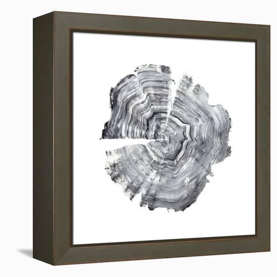 Tree Ring Abstract IV-Ethan Harper-Framed Stretched Canvas