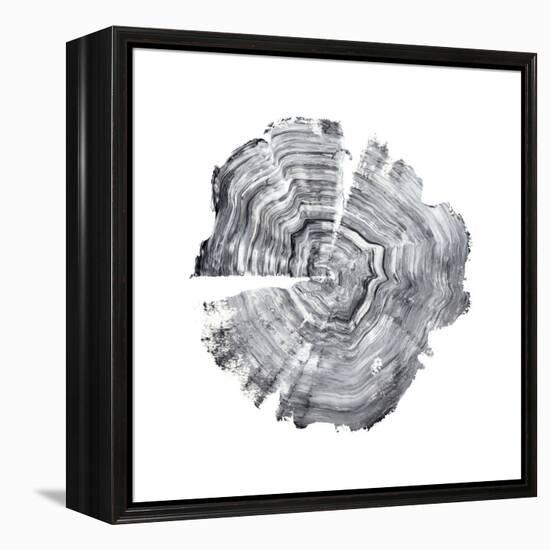 Tree Ring Abstract IV-Ethan Harper-Framed Stretched Canvas