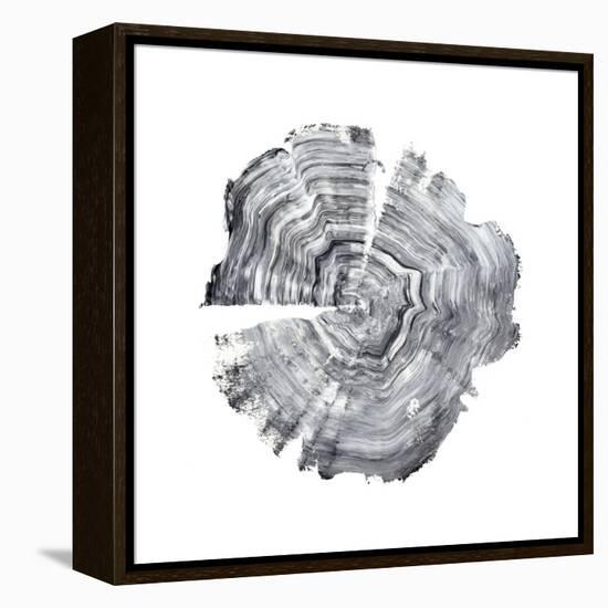 Tree Ring Abstract IV-Ethan Harper-Framed Stretched Canvas