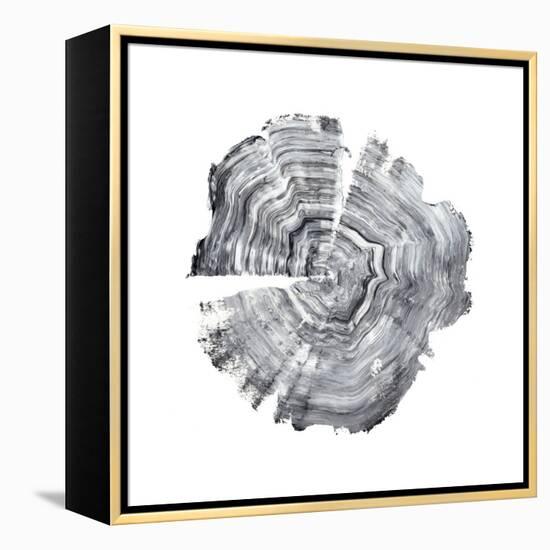 Tree Ring Abstract IV-Ethan Harper-Framed Stretched Canvas