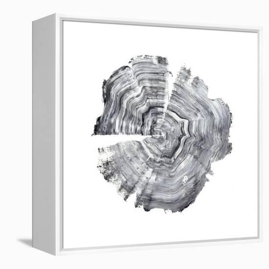 Tree Ring Abstract IV-Ethan Harper-Framed Stretched Canvas