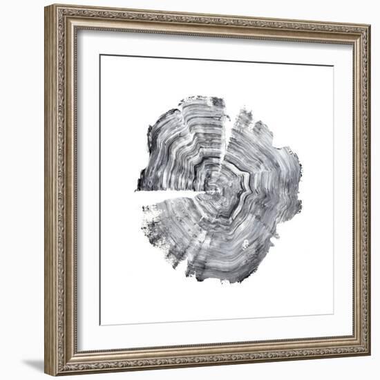 Tree Ring Abstract IV-Ethan Harper-Framed Art Print